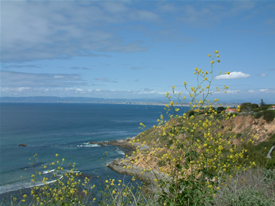Pacific Ocean